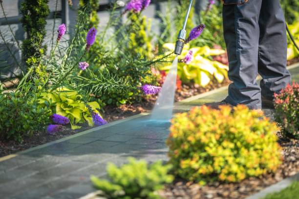 Best Soft Washing  in Ogdensburg, NJ
